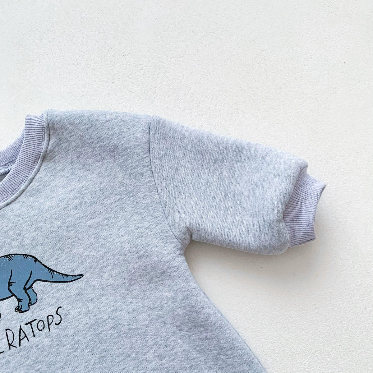 Baby Dinosaur Animal Onesie Romper in T-Rex