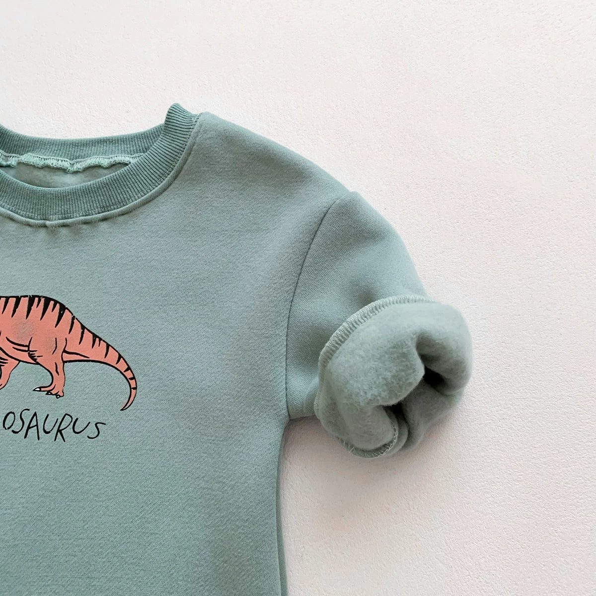 Baby Dinosaur Animal Onesie Romper in T-Rex